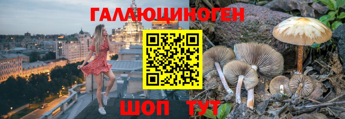Псилоцибиновые грибы прущие грибы Мурманск