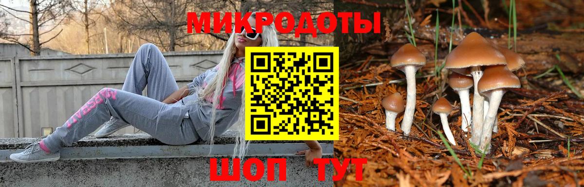 Галлюциногенные грибы GOLDEN TEACHER  Галлюциногенные грибы Psilocybe  Мурманск  Вход с VPN 